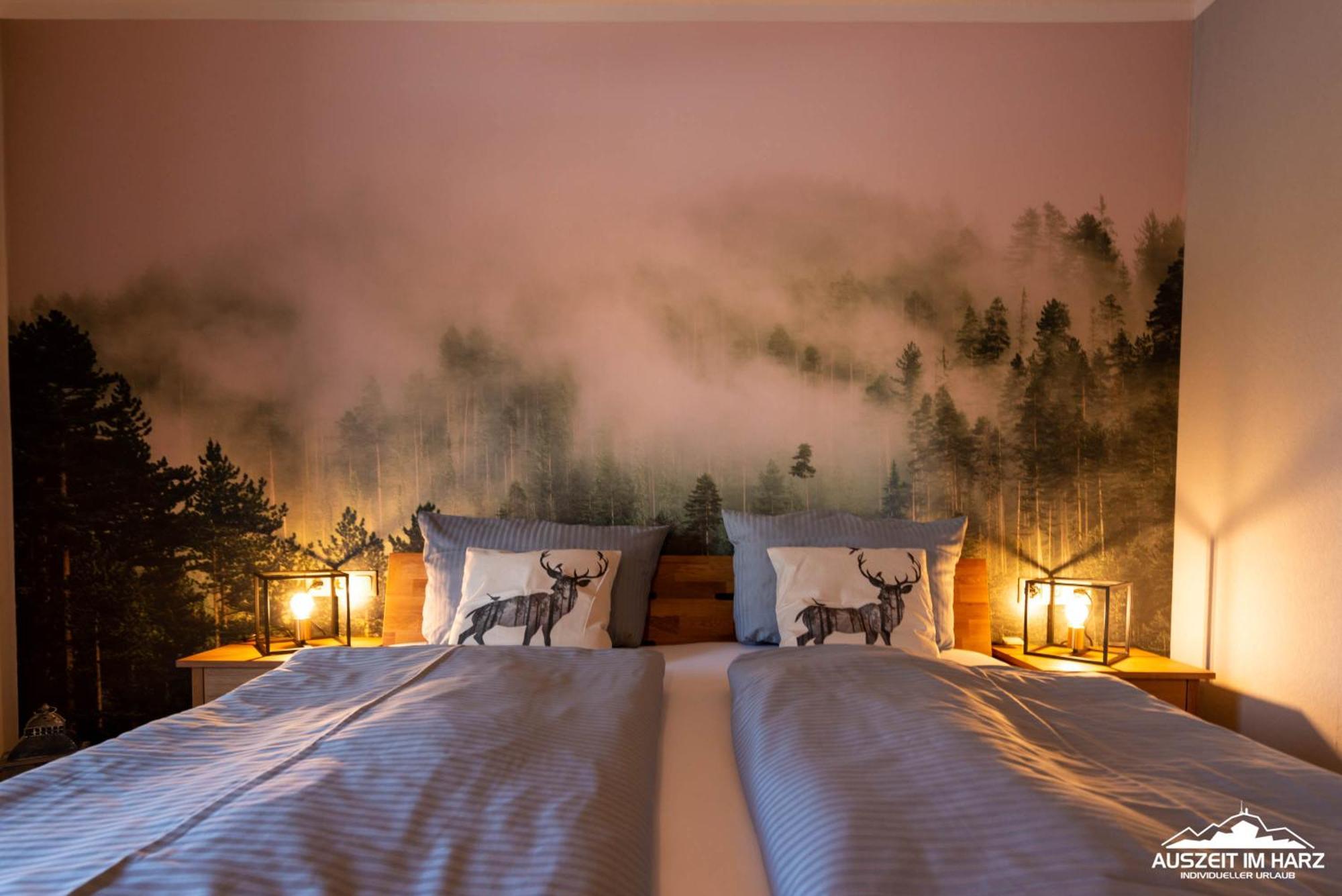 Auszeit-Im-Harz Haus 5 Wohnung 22 Stiege Exteriör bild